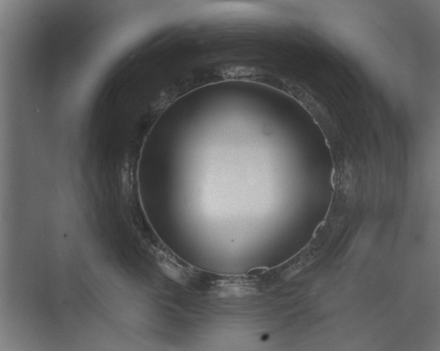 X0000073850763200608241042