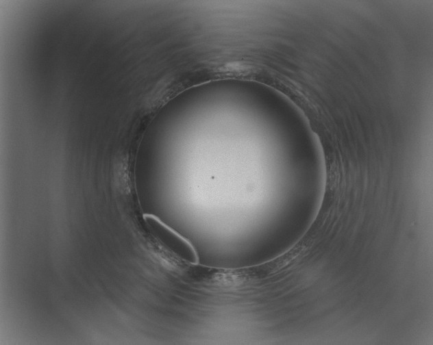 X0000073850764200608241042