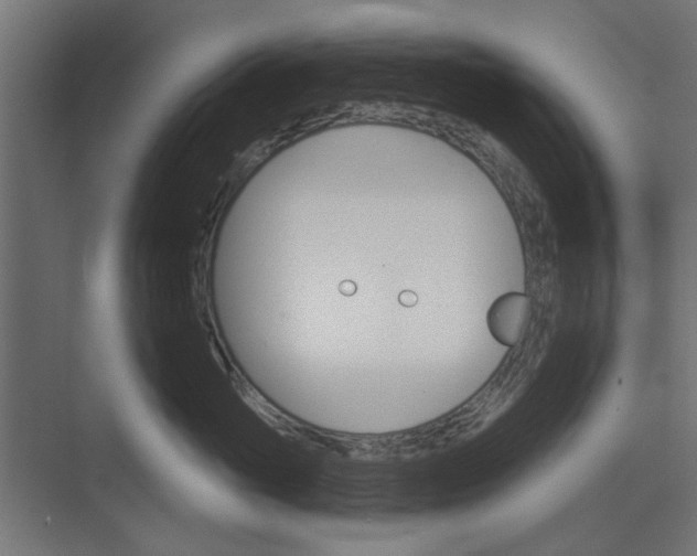 X0000073850765200608241042