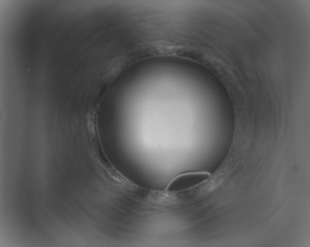 X0000073850768200608241042