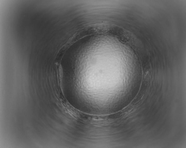 X0000073850772200608241042