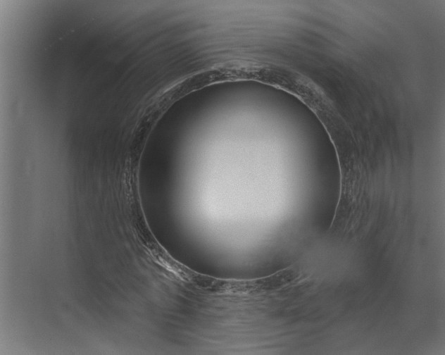 X0000073850773200608241042