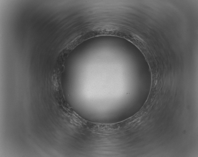 X0000073850774200608241042