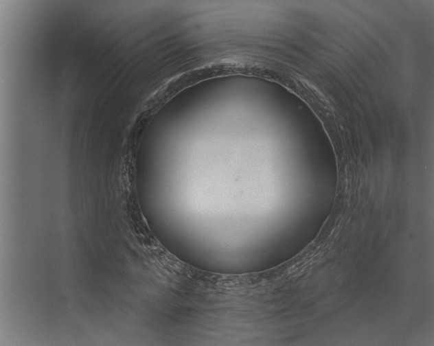 X0000073850776200608241042