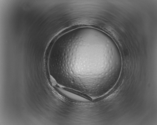 X0000073850779200608241041