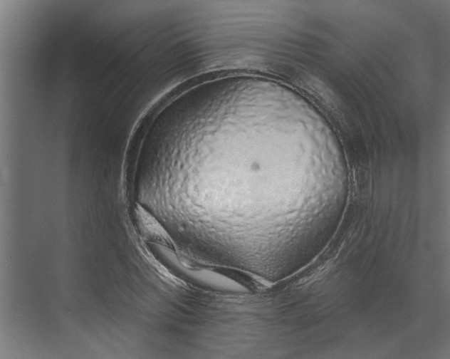 X0000073850780200608241041