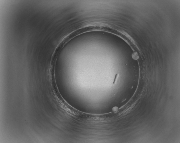 X0000073850783200608241041