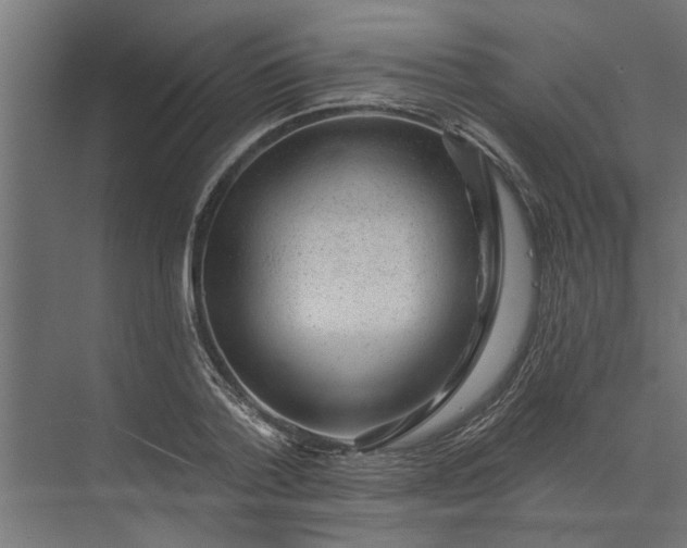 X0000073850788200608241041