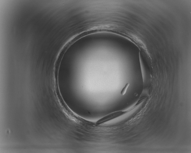 X0000073850792200608241041