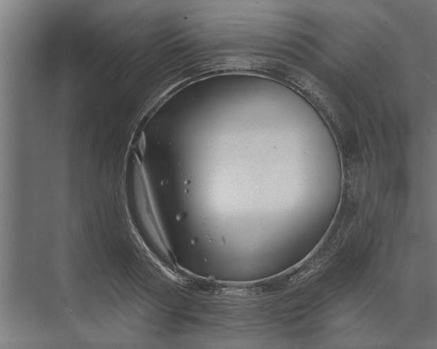 X0000073850794200608241041