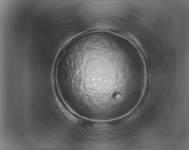 X0000073850795200608241041