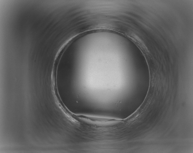 X0000073850796200608241041