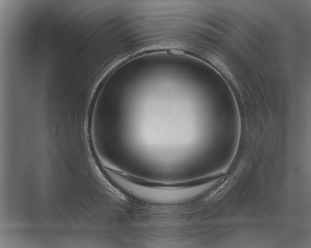 X0000073850797200608241041