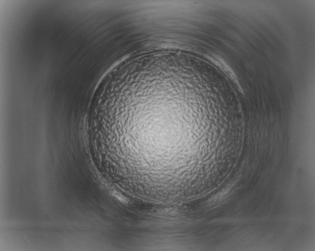 X0000073850798200608241041