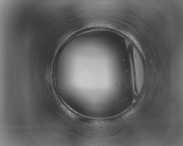 X0000073850799200608241041