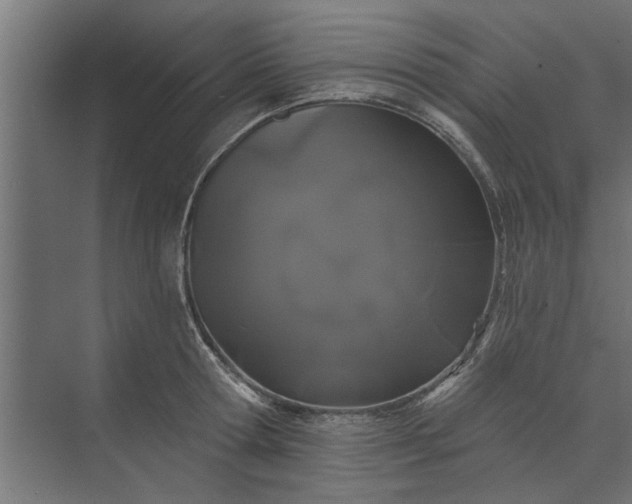 X0000073850802200608241041