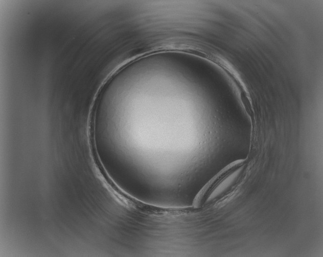 X0000073850803200608241041