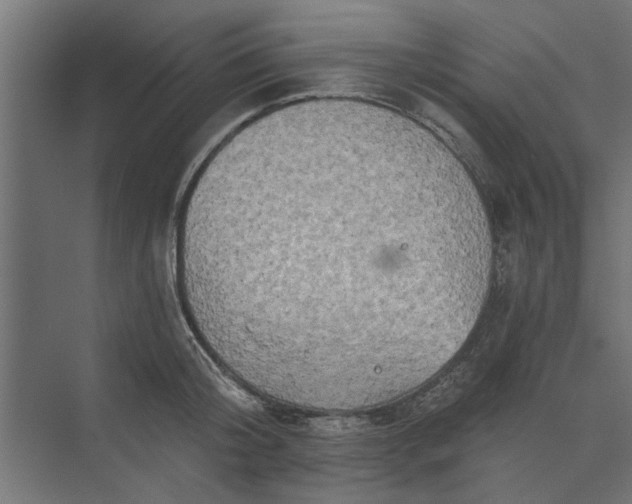 X0000073850804200608241041