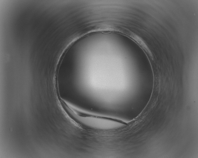 X0000073850805200608241041