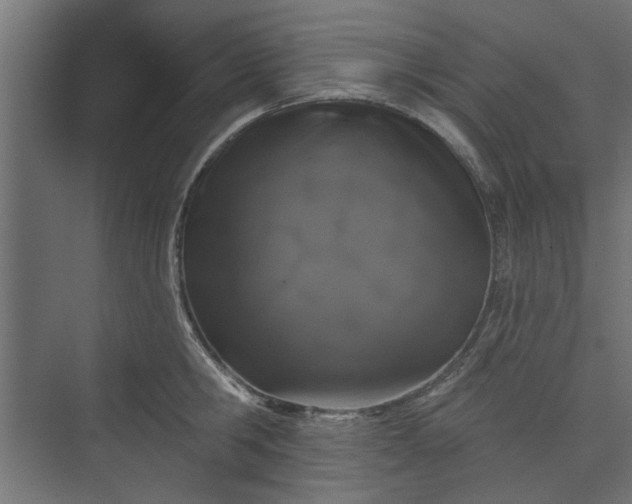 X0000073850806200608241041