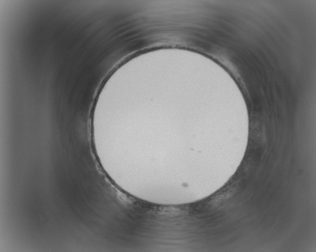 X0000073850807200608241041