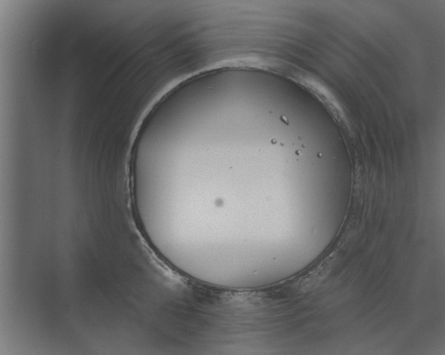 X0000073850808200608241041