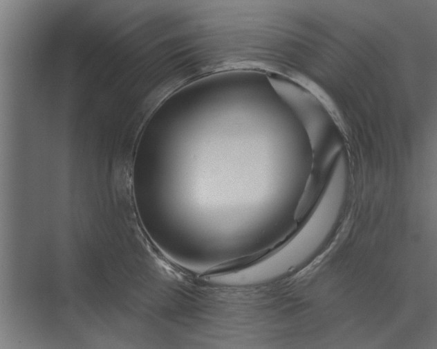 X0000073850809200608241041