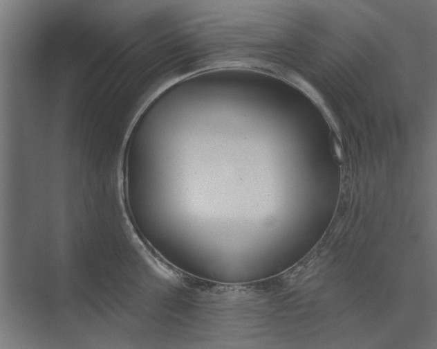 X0000073850811200608241041