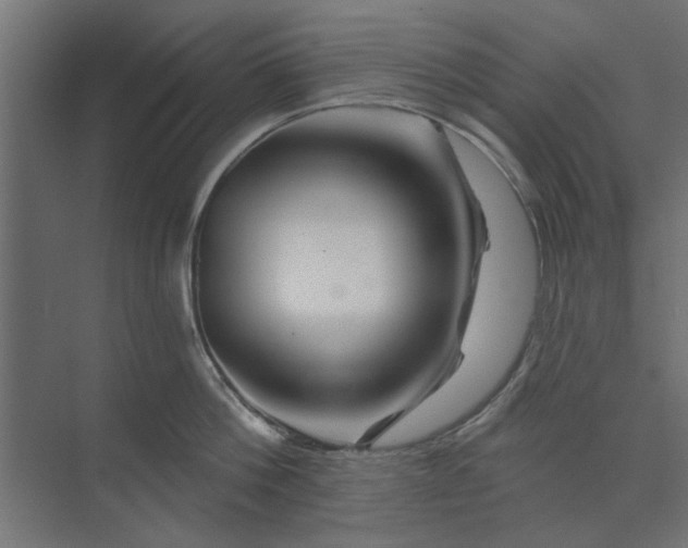 X0000073850812200608241041