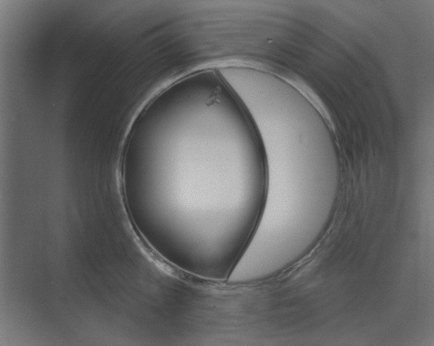 X0000073850813200608241041