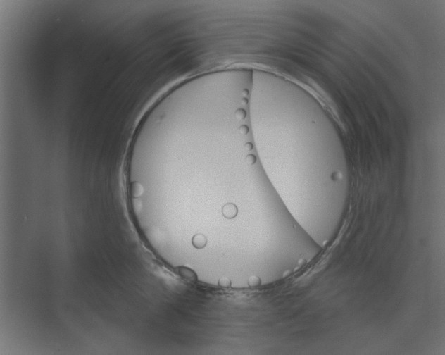 X0000073850814200608241041