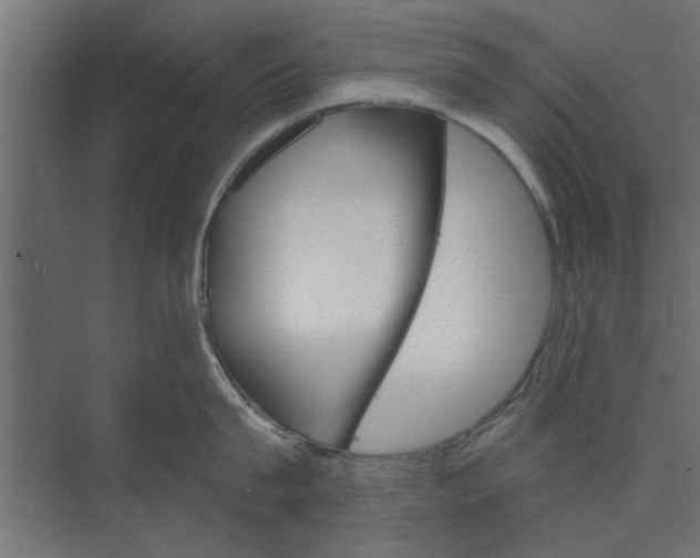 X0000073850815200608241041