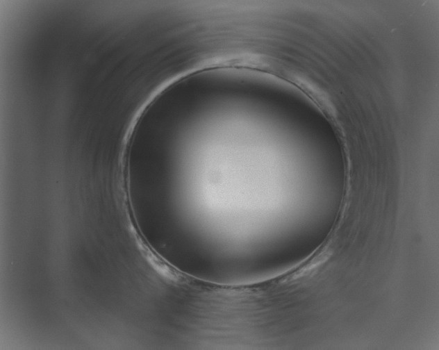 X0000073850816200608241041