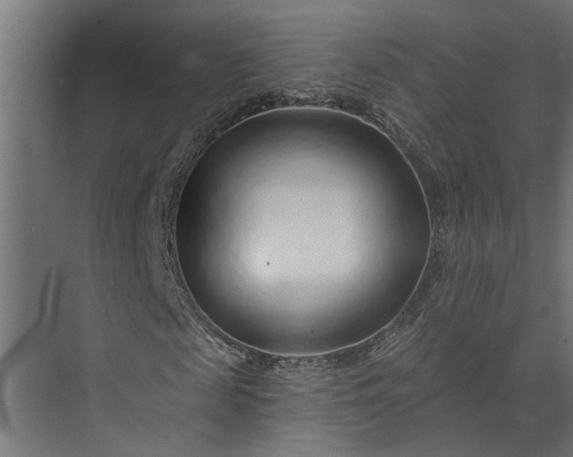 X0000073850817200608241040