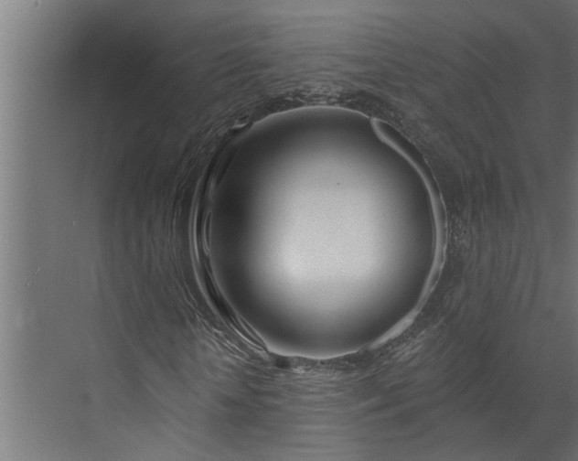 X0000073850818200608241040