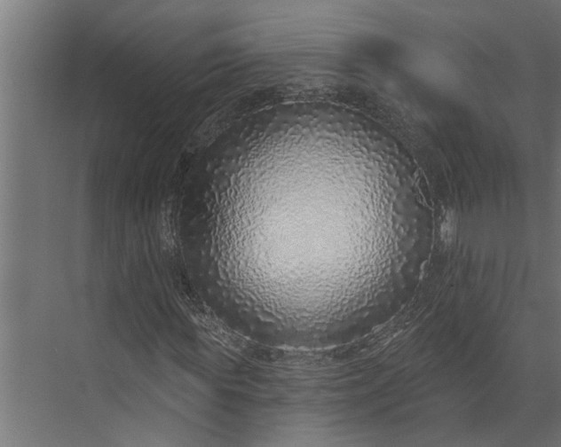 X0000073850819200608241040