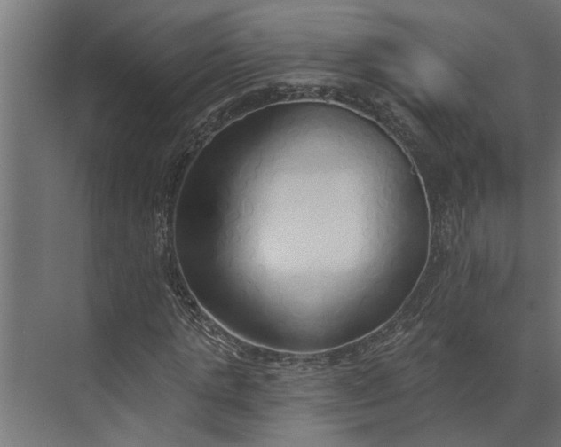 X0000073850821200608241040