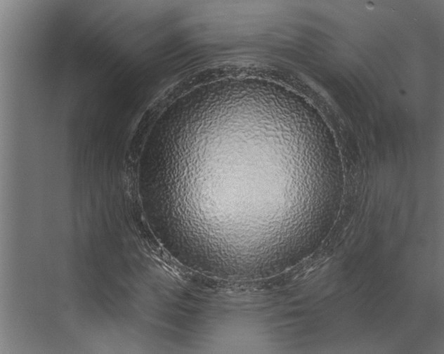 X0000073850823200608241040