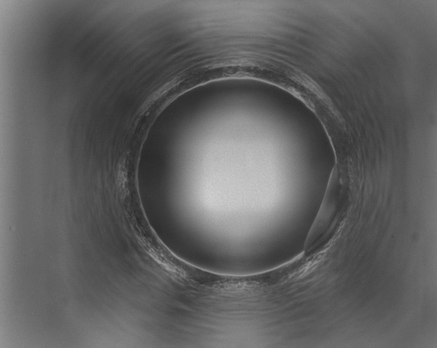 X0000073850826200608241040