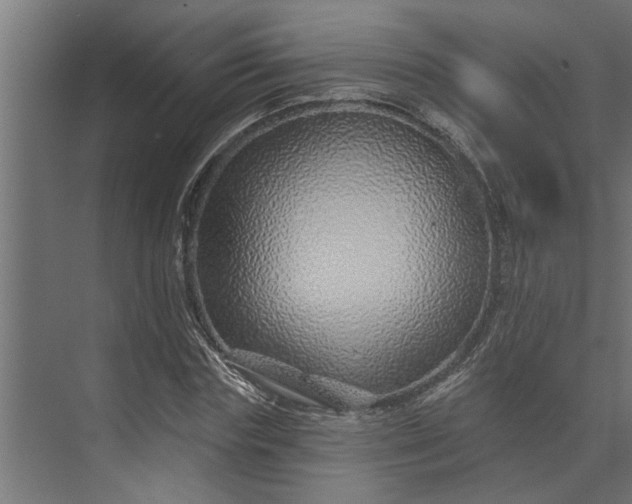 X0000073850827200608241040