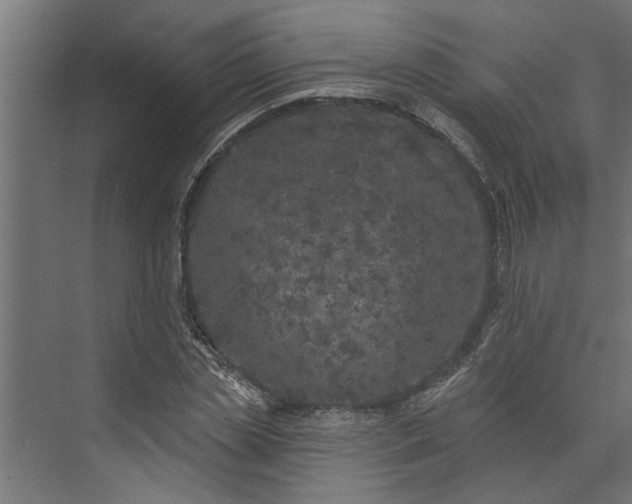 X0000073850829200608241040