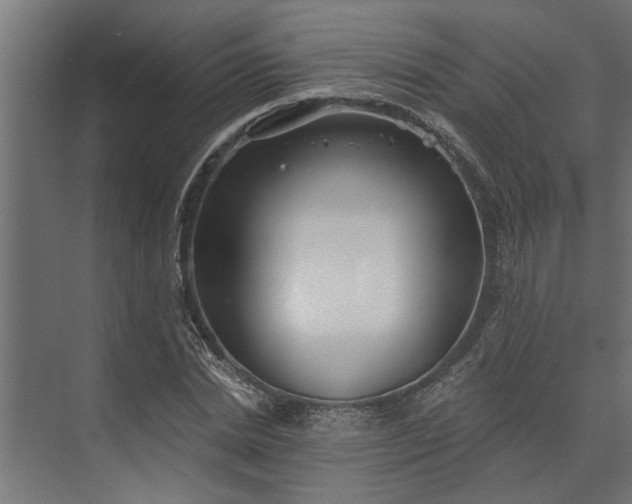 X0000073850830200608241040