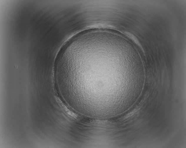 X0000073850831200608241040