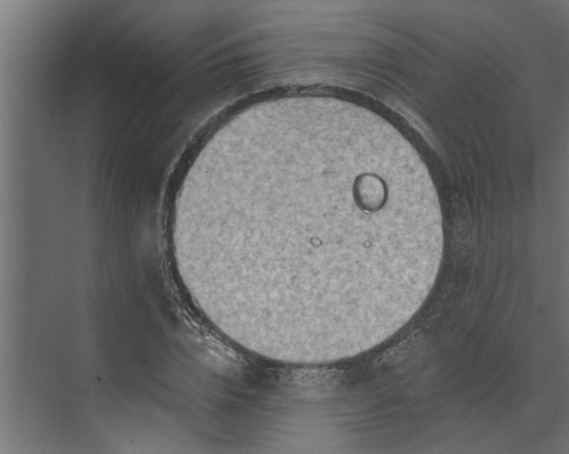 X0000073850832200608241040