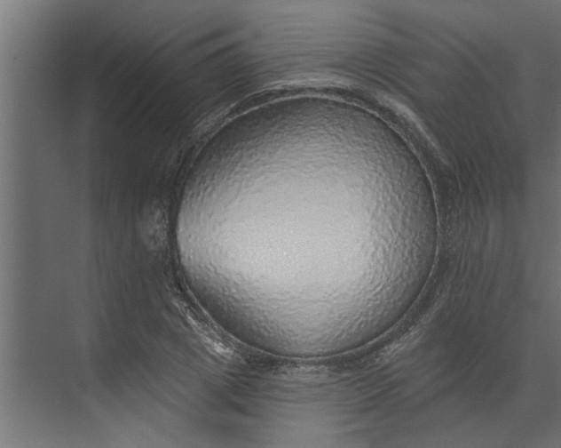 X0000073850833200608241040