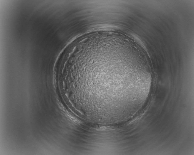 X0000073850835200608241040