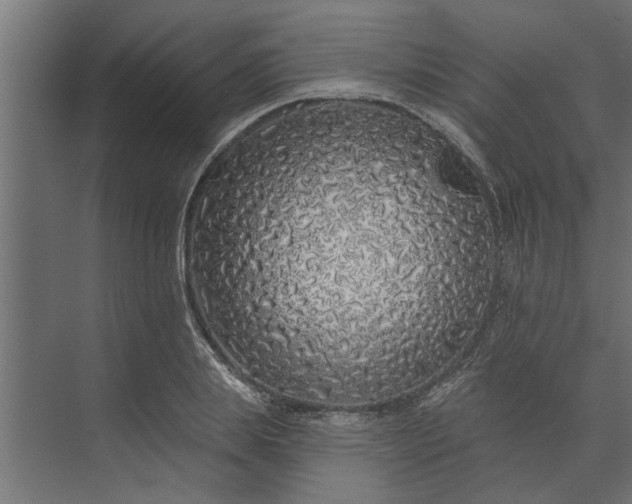 X0000073850839200608241040