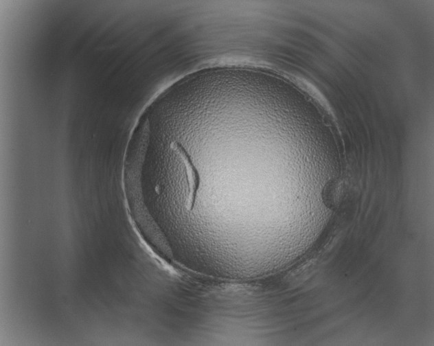 X0000073850847200608241041