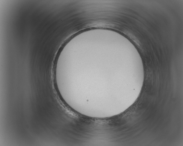 X0000073850848200608241041