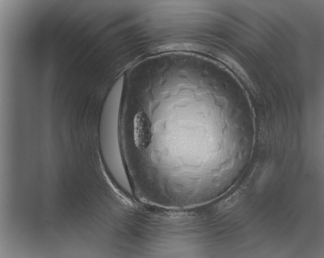 X0000073850849200608241041